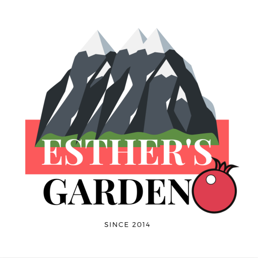 Site Icon